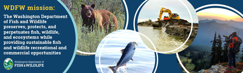Puget Sound & Coastal Troll Quick Reporter - Data Consultant 1 - Permanent - 2025-07235 description image